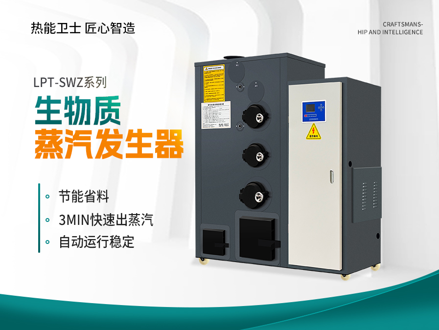 100公斤生物质蒸汽发生器