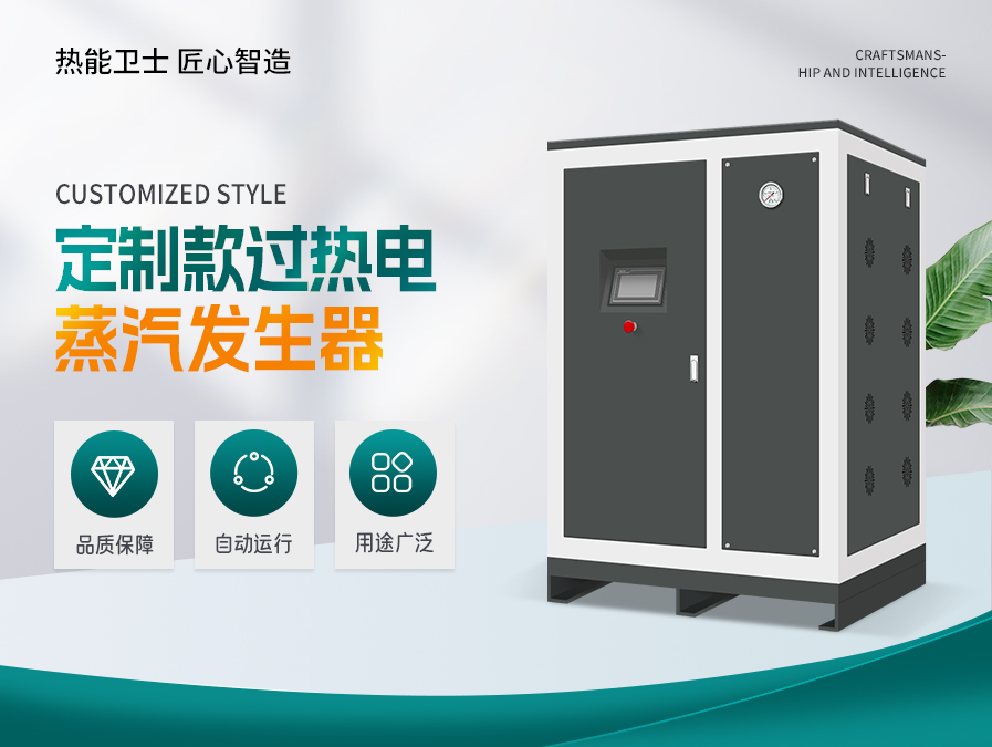 定制款高温过热700°蒸汽发生器