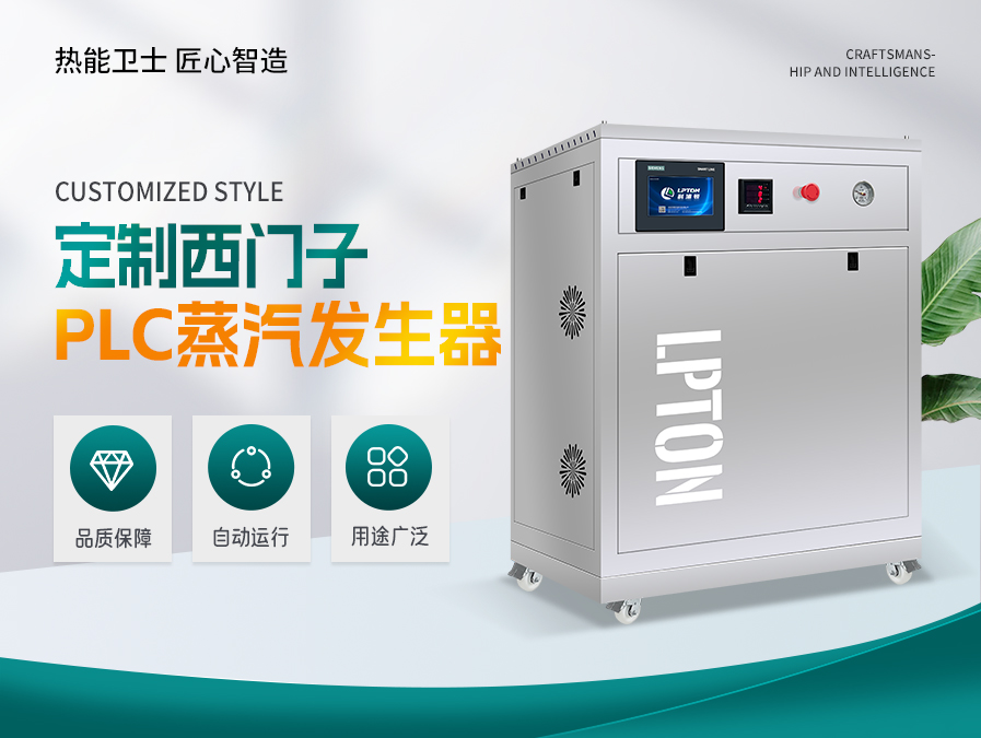 定制西门子PLC蒸汽发生器