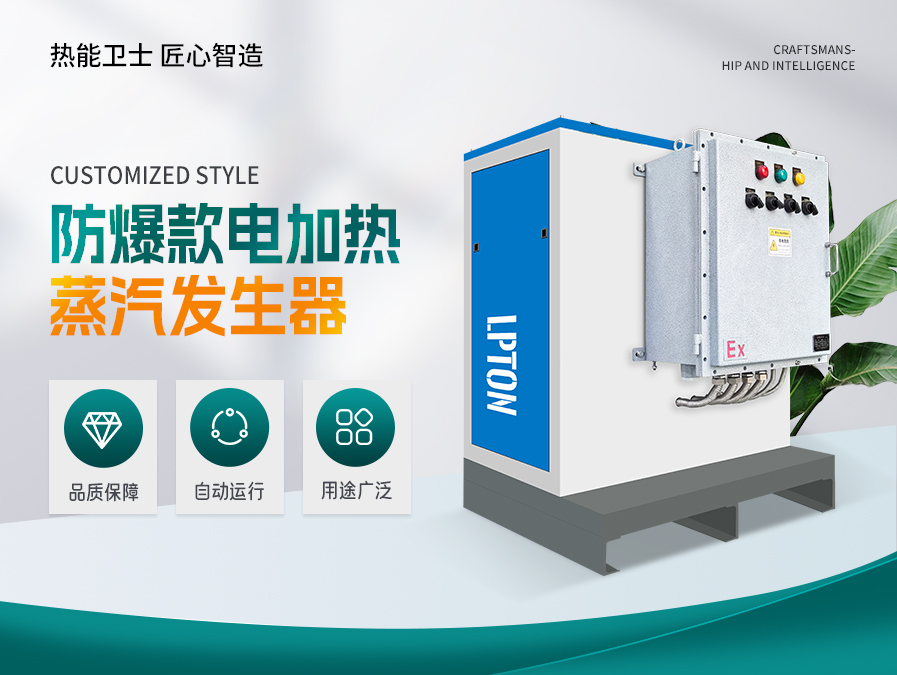 防爆款电加热蒸汽发生器