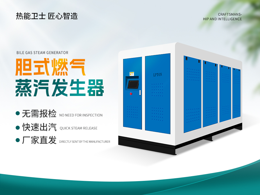 胆式燃气蒸汽发生器