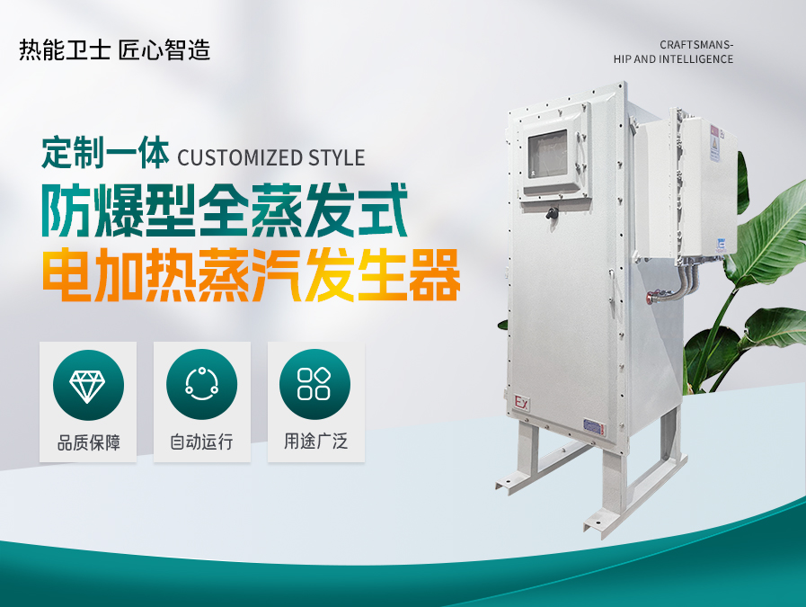 定制一体防爆型电加热蒸汽发生器