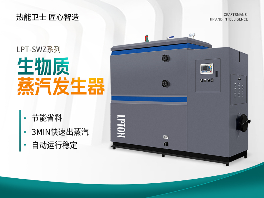 500公斤生物质蒸汽发生器